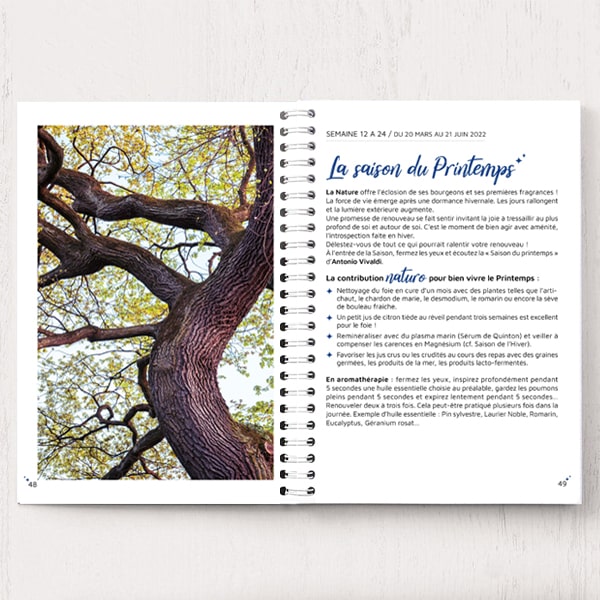 happy2design Agenda astro 5-min happy2design graphisme Agenda astrologique mise en page