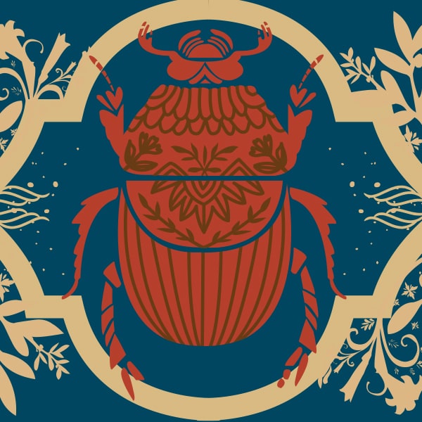 happy2design illustration scarabée rouge